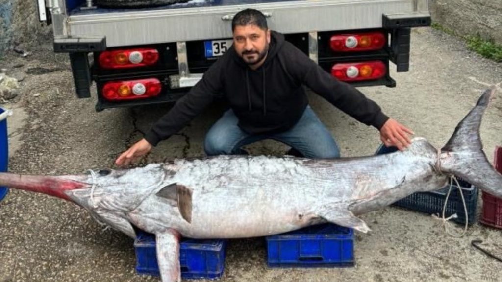 adanada dev kilic baligi yakaladilar 30 bin tlye satildi p4Sp6Mku