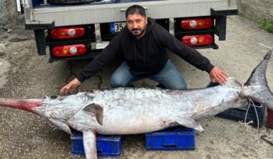 Adana’da dev kılıç balığı yakaladılar: 30 bin TL’ye satıldı