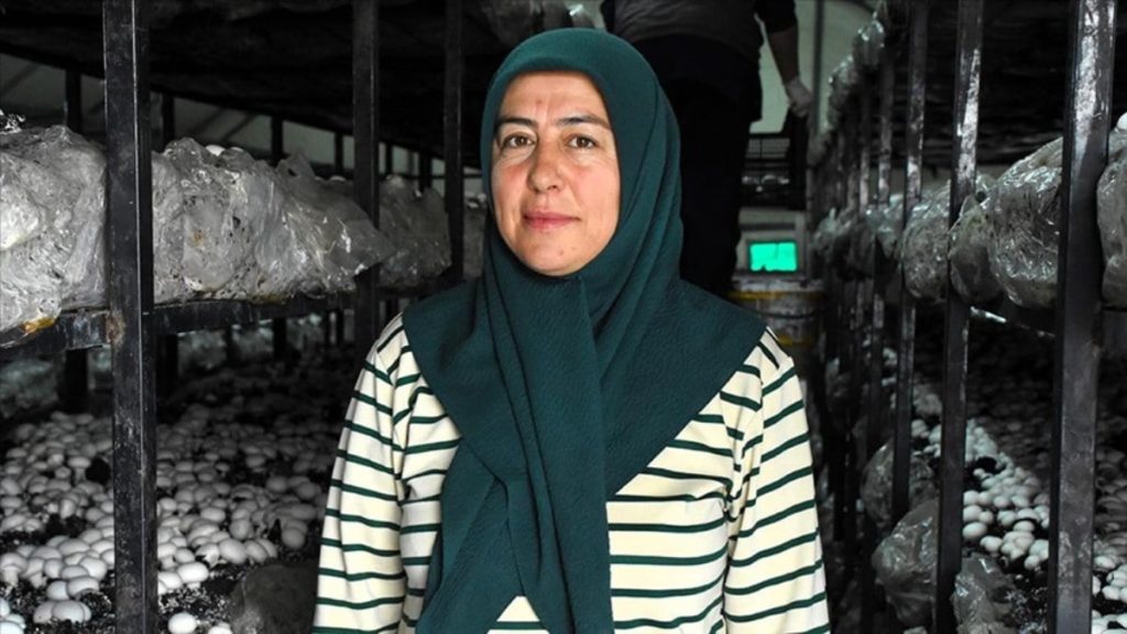 aksarayli kadin girisimci devletten destek aldi atil araziyi tarima kazandirdi kT5yxrqx