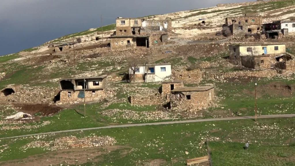 batmanda yolveren koyunun muhtarini almanya sececek yGjcMa6q