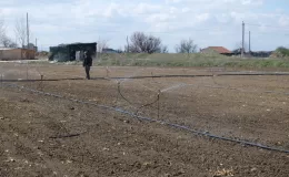 Eskişehir’de çiftçiler en kurak kış nedeniyle tarlalarını 2 ay önceden sulamaya başladı