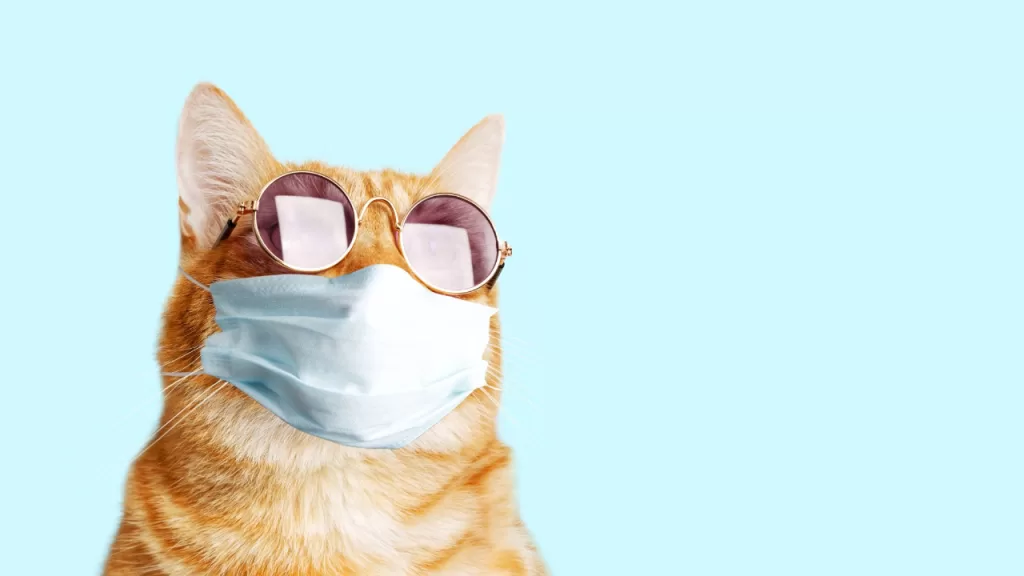hayvanlar mi insanlara yoksa insanlar mi hayvanlara daha fazla virus bulastiriyor YcGaCbuB