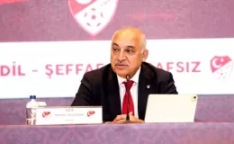 Mehmet Büyükekşi’den Üstün Kupa açıklaması