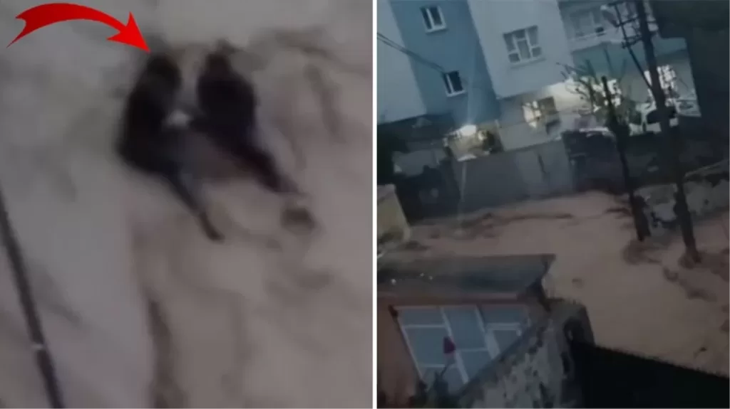 sele kapilarak suruklenen 2 kisi son anda kurtuldu o anlar kamerada Trlg16wR