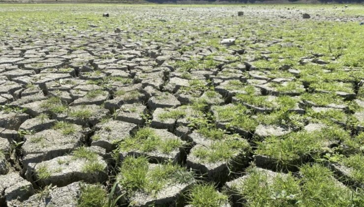 Tehlike sürüyor: Marmara’da yağışlar yüzde 56 azaldı