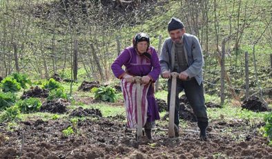 TZOB Başkanı Şemsi Bayraktar: Kırsal nüfusun oranı yüzde 23’e geriledi