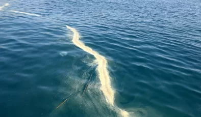 Antalya’da denizdeki sarı birikintiler incelendi: Tehlikeli olmadığı belirtildi