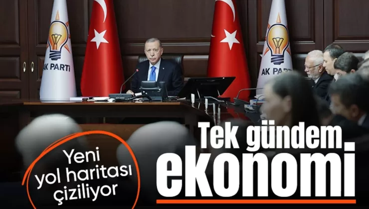 Cumhurbaşkanı Erdoğan’dan yeni yol haritasında ekonomi vurgusu