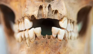 Diş macunu icat edilmeden önce, eski insanlar dişlerini nasıl temizliyordu?