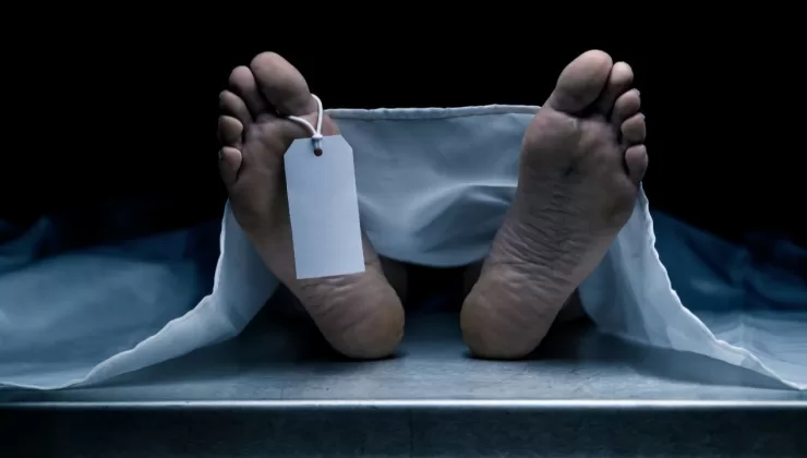 İnsan neden ölür? Ölümsüzlük mümkün mü? Nobelli bilim insanının yorumları