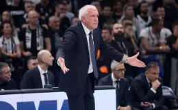 Zoran Savic: “Obradovic ile devam edeceğiz”