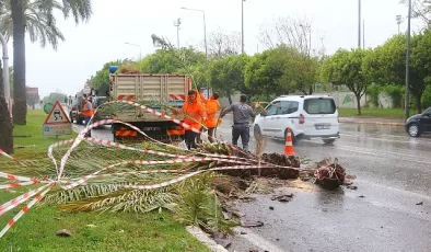 Antalya Büyükşehir’de 1200 personel fırtınada hazır bekledi