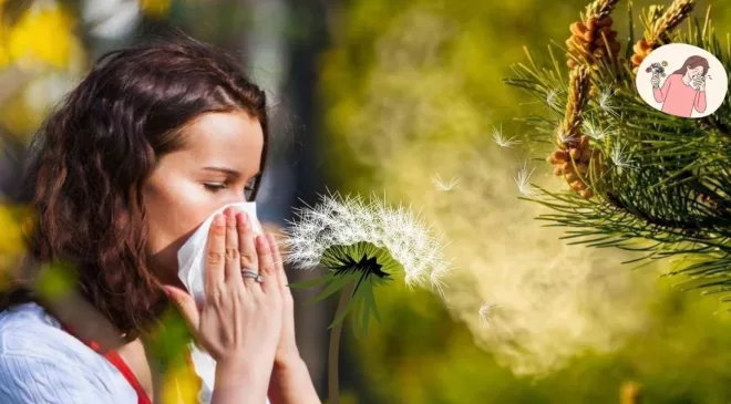 Bakan Koca’dan polen uyarısı! Polen alerjisi nasıl anlaşılır? Polen alerjisine ne iyi gelir?