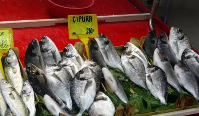 Çanakkale’de av sezonu sona erdi: Fiyatlar arttı