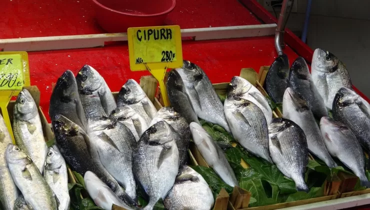 Çanakkale’de av sezonu sona erdi: Fiyatlar arttı