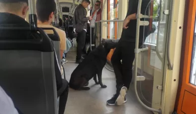 Eskişehir’de tramvaya binen yolcular sokak köpeğiyle karşılaştı