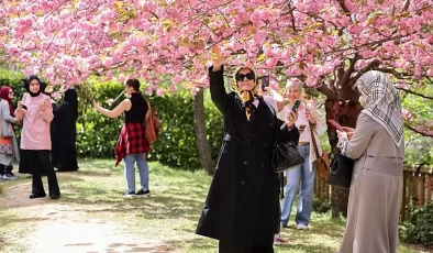 İstanbul Baltalimanı’ndaki Japon Bahçesi ziyaretçilerini hayran bırakıyor