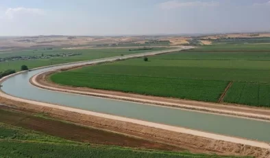 Mardin Ceylanpınar Ana Kanalı çiftçiye nefes aldırdı