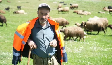 Muş’ta besiciler, 40 bin lira maaşa rağmen çoban bulamıyor