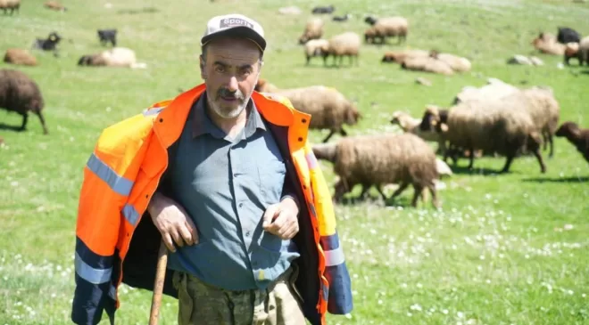 Muş’ta besiciler, 40 bin lira maaşa rağmen çoban bulamıyor