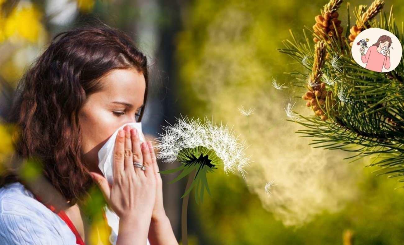 polen alerjisi nedir ve nasil anlasilir polen alerjisine ne iyi gelir 0 dgGG5sIC