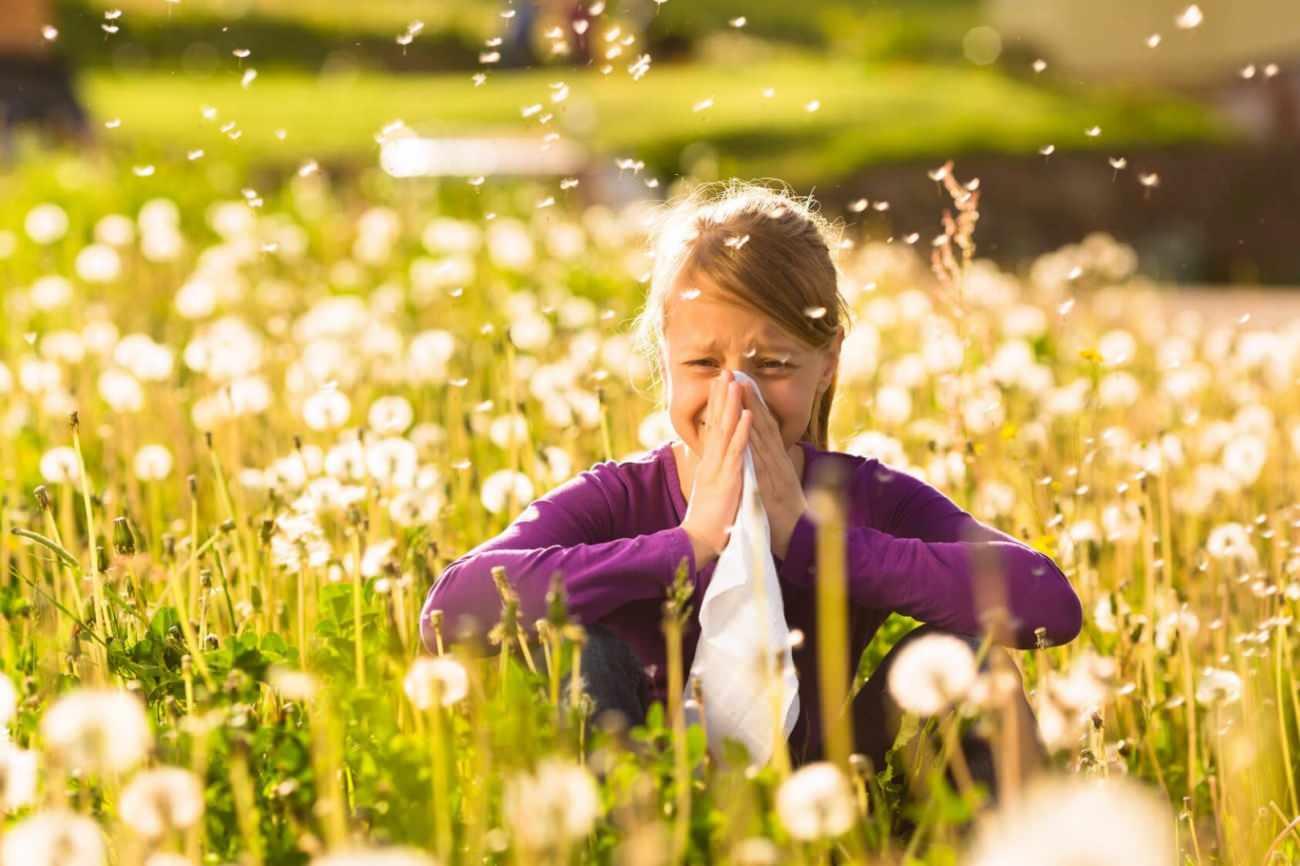 polen alerjisi nedir ve nasil anlasilir polen alerjisine ne iyi gelir 1 PPJCAYNY