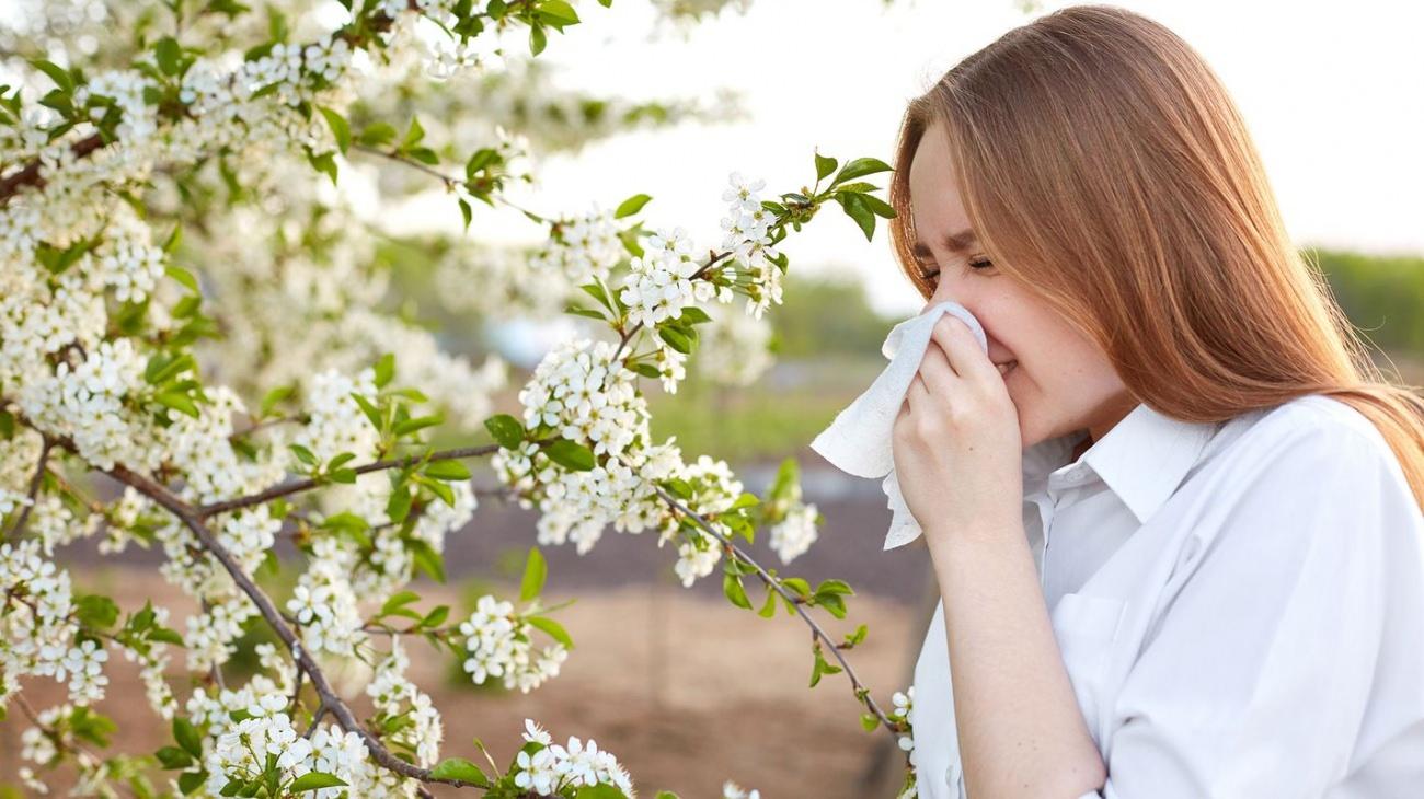 polen alerjisi nedir ve nasil anlasilir polen alerjisine ne iyi gelir 2