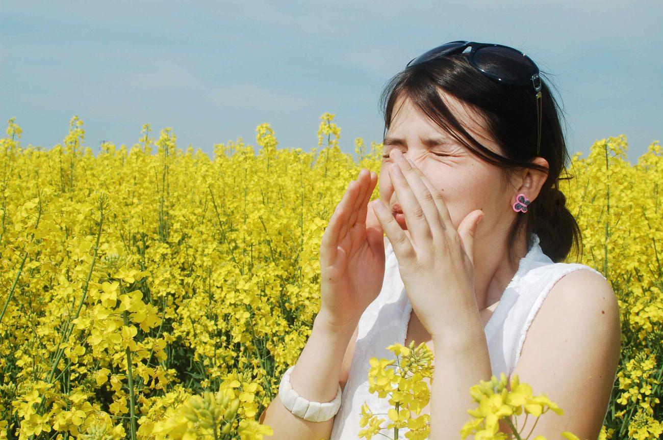 polen alerjisi nedir ve nasil anlasilir polen alerjisine ne iyi gelir 3 ZDNWUbir