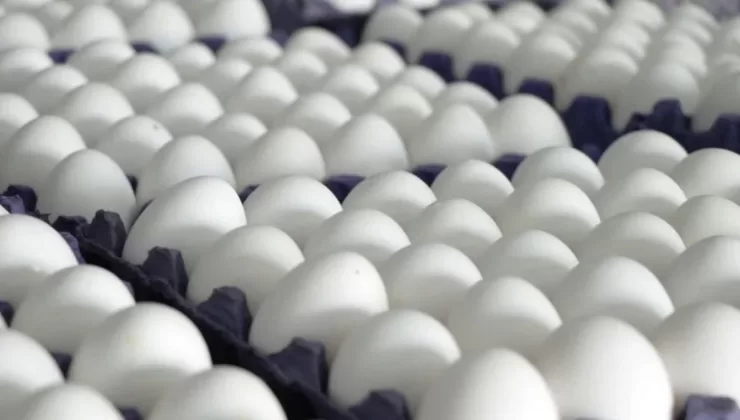 Yumurta fiyatları “mayıs çukuru”na düştü