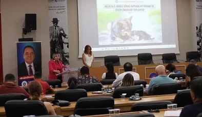 Antalya Büyükşehir sahipsiz hayvanlar için harekete geçti