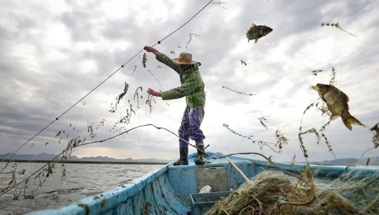 Avlanan balık miktarı arttı, su ürünleri üretiminde Cumhuriyet tarihi rekoru kırıldı
