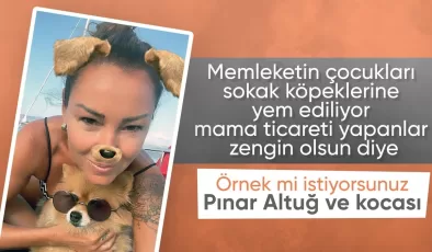 Başıboş köpeklerle ilgili yapılacak düzenleme Pınar Altuğ’u rahatsız etti