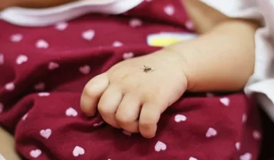 Bebeklere sinek kovucu sürülür mü? 2024 bebekler için en iyi sinek kovucular ve fiyatları