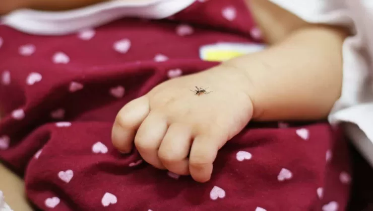 Bebeklere sinek kovucu sürülür mü? 2024 bebekler için en iyi sinek kovucular ve fiyatları
