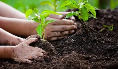 Dünya Çevre Günü’nde TEMA Vakfı’ndan Anlamlı Mesaj: “Bizim toprağımız, bizim geleceğimiz. Biz doğayı onaracak nesiliz!”