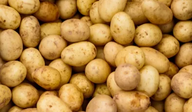 Eski patatesler, ölümcül “Solanin Gazı” salgılayarak insanları zehirleyebilir mi?