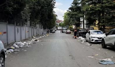 İstanbul’da şampiyonluk kutlamaları bitti, geriye çöp yığınları kaldı