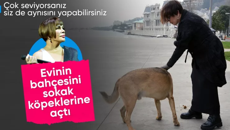 Sezen Aksu, Bodrum’da sokak hayvanları için özel bakıcı tuttu