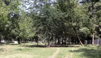 Edirne’de ormanlık alanlara girişler kısıtlandı