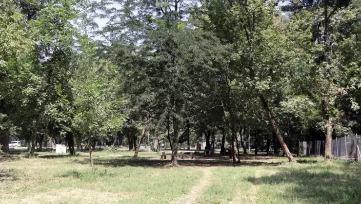 Edirne’de ormanlık alanlara girişler kısıtlandı