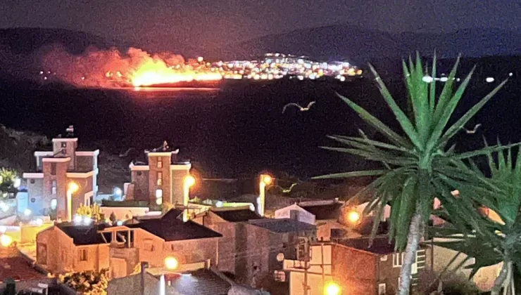 İzmir’de gece boyunca yanan Çiçek Adası küle döndü