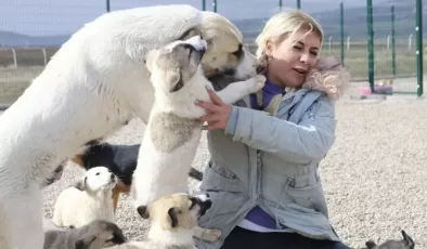 Kuduz köpekleri Şanlıurfa’dan Ankara’ya taşıyan Buket Özgünlü tutuklandı