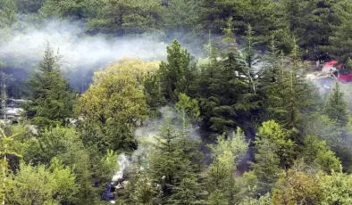 Türkiye genelinde 35 ilde ormanlara giriş yasaklandı