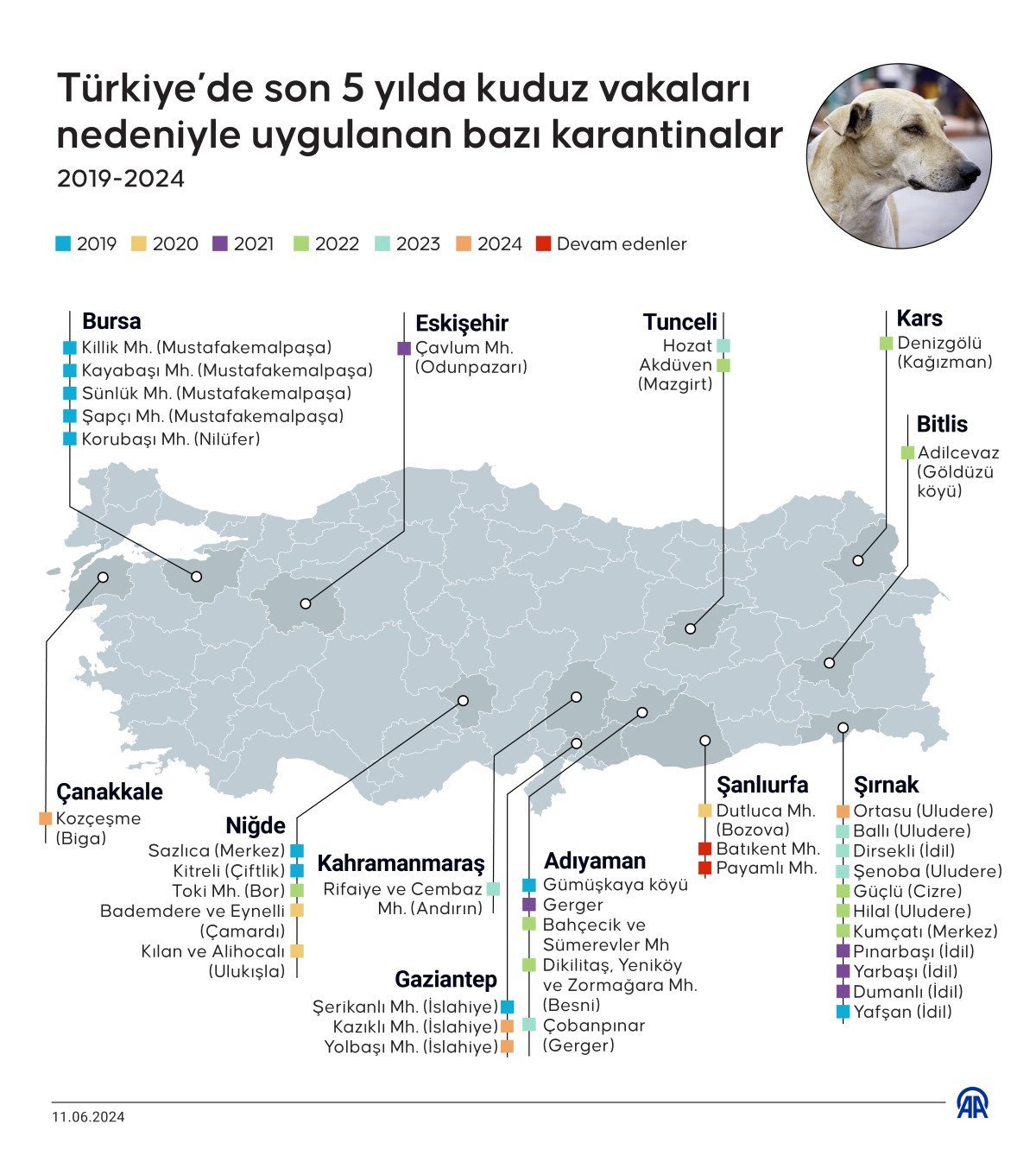 turkiyede son 5 yilda kuduz vakalari nedeniyle uygulanan karantinalar 0